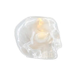 Kosta Boda Still life Skull Off White 7062200