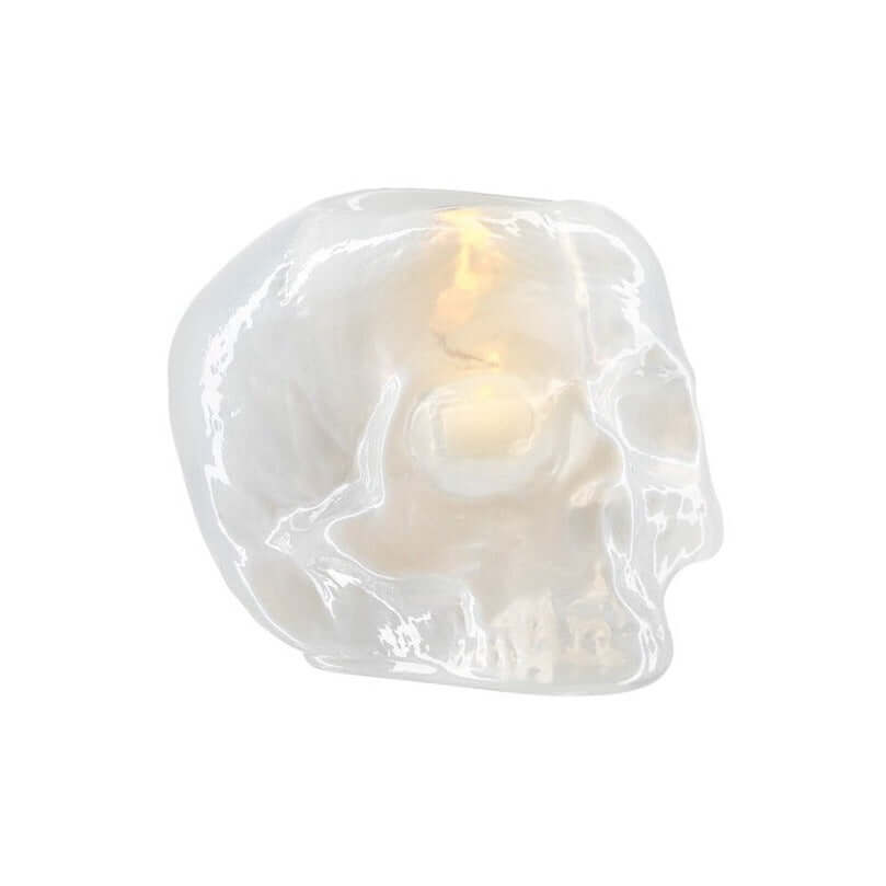 Kosta Boda Still life Skull Off White 7062200
