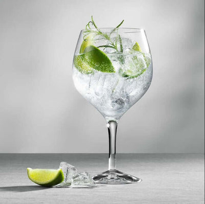 Orrefors More Gin Tonic kristallilasit 4-pack 6313001