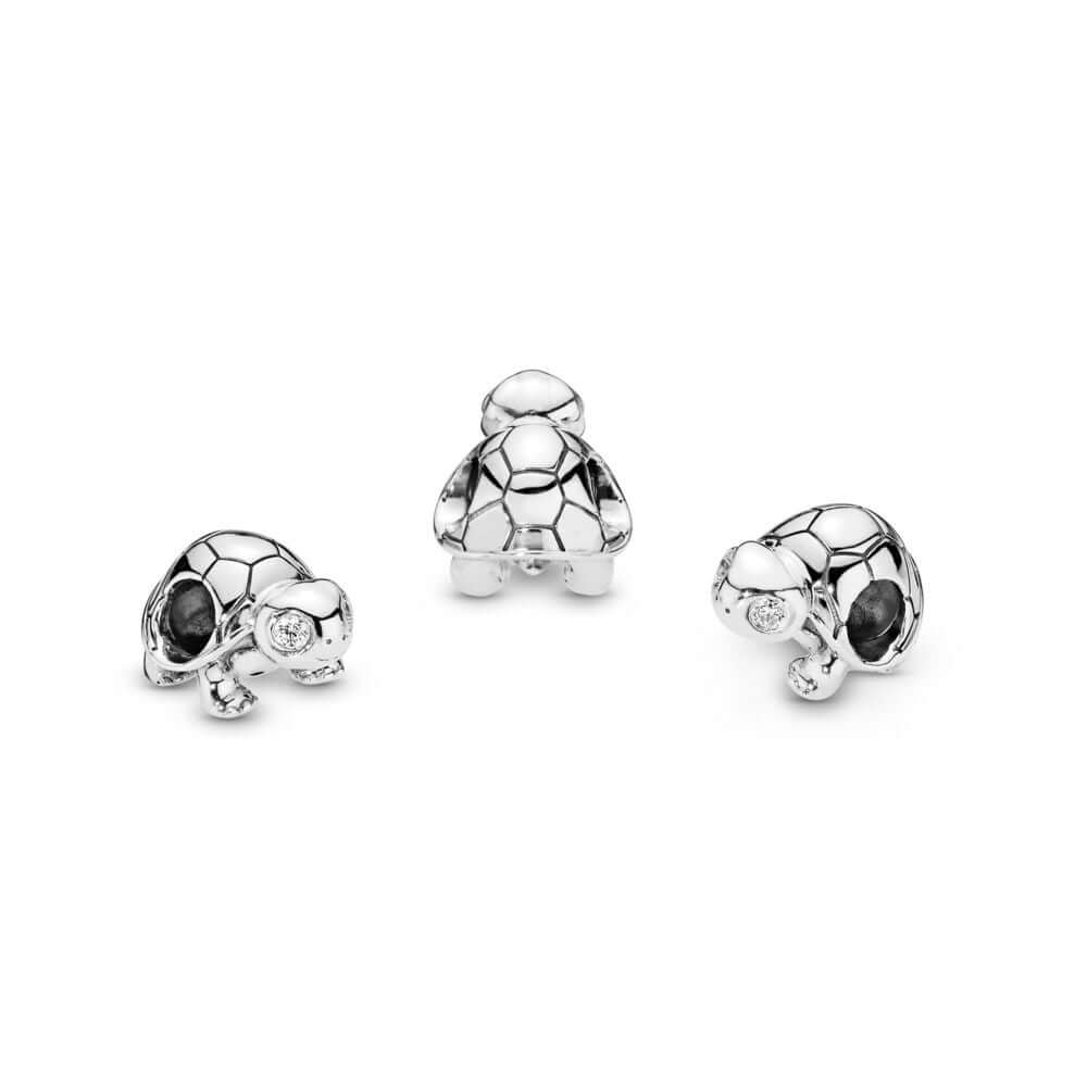 Pandora bright eyed turtle hot sale