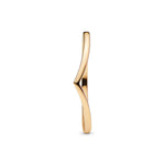 Pandora Shine Polished Wishbone 168742C00