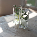 Balmuir Winston Tumbler 2-pack lasit