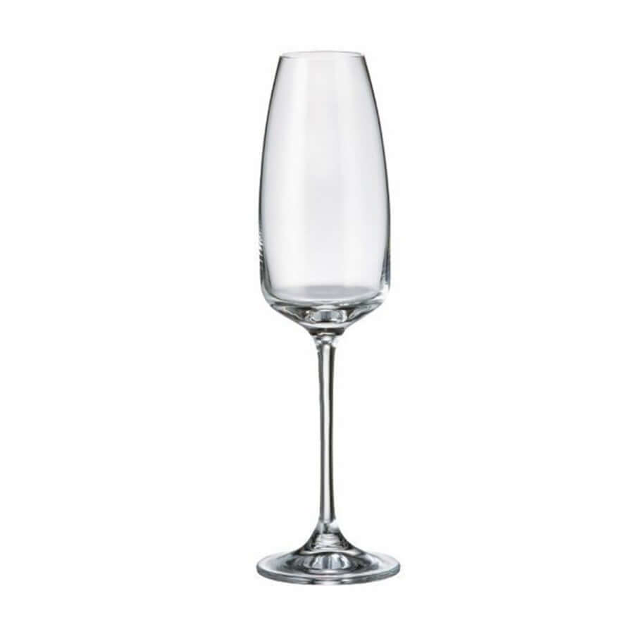 Balmuir Piemonte Flute  Kuohuviinilasit