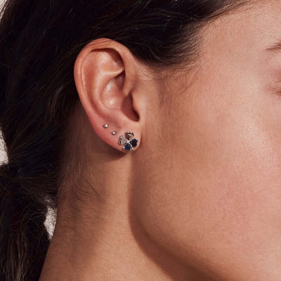 Edblad Lucky Studs Steel Korvakorut