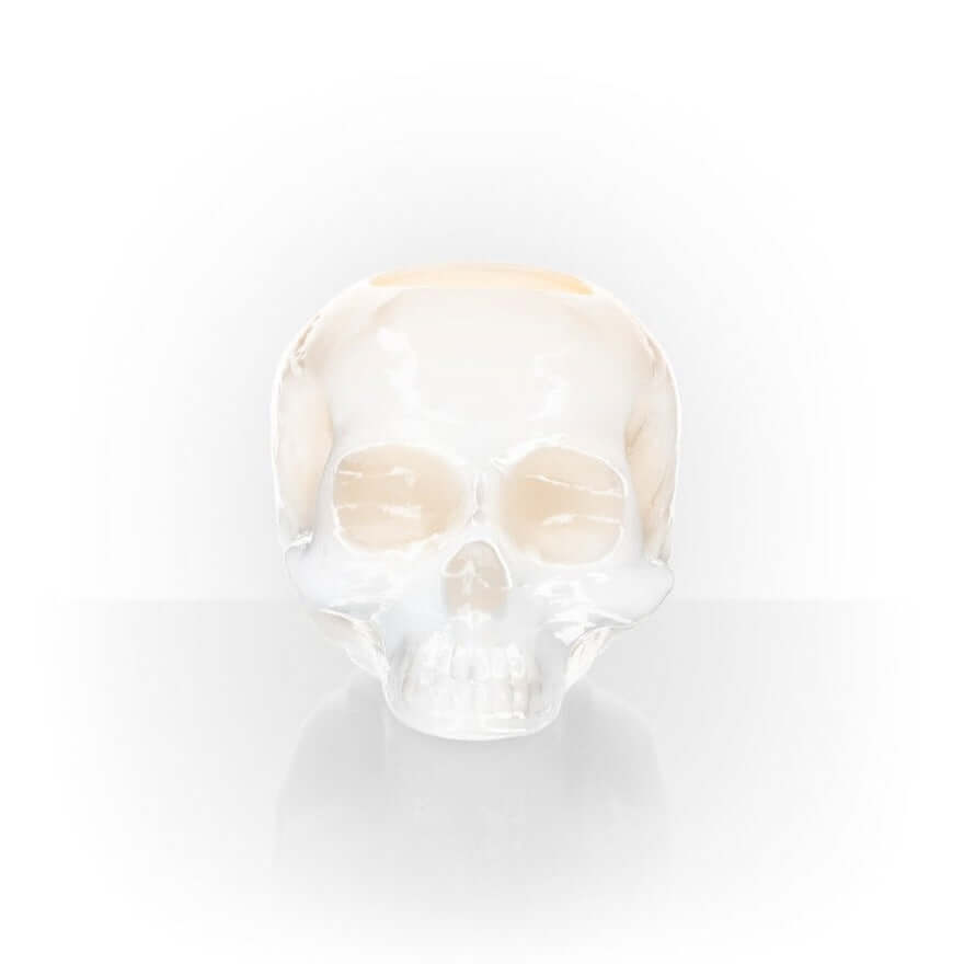 Kosta Boda Still life Skull Off White