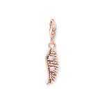  Thomas Sabo Charm Siipi riipus 1906-323-9